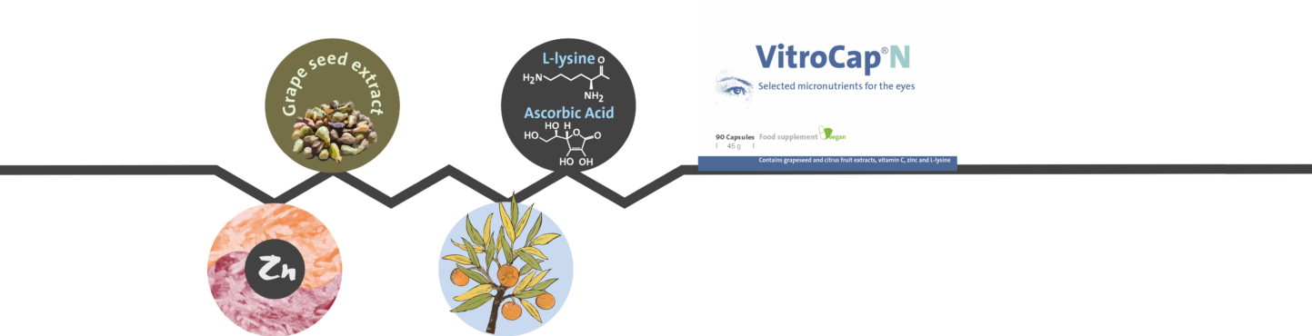 vitrocap n supplement for eye floaters ingredients